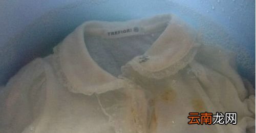 白衣服用84怎么用