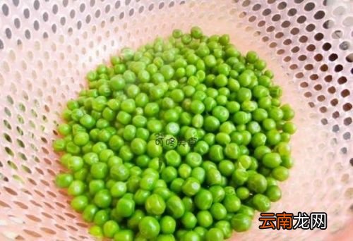 豌豆怎样炒比较嫩