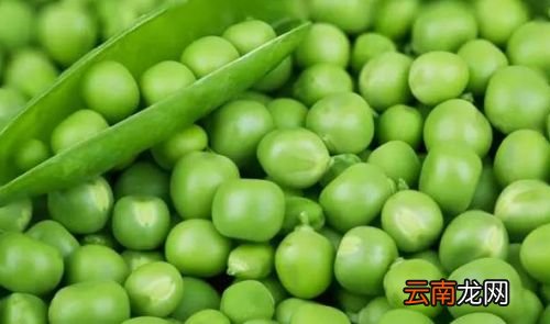 豌豆怎么煮都是硬的