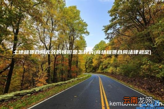 土地租赁合同无效的情形是怎样的 商场租赁合同法律规定