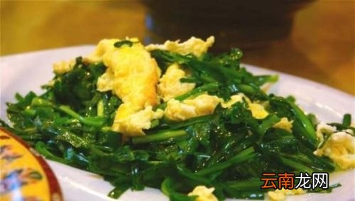 请问有哪些隔夜菜不能吃