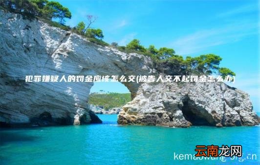 犯罪嫌疑人的罚金应该怎么交 被告人交不起罚金怎么办