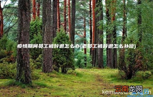 疫情期间员工被辞退怎么办 老员工被辞退怎么补偿
