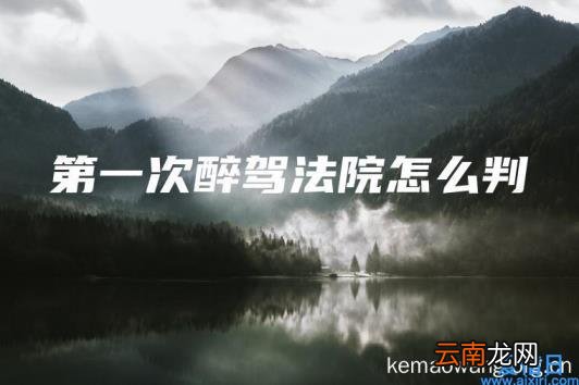第一次醉驾法院怎么判