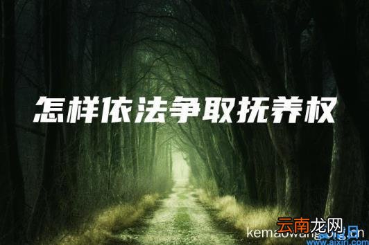 怎样依法争取抚养权