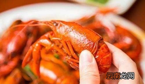 小龙虾放哪些调料
