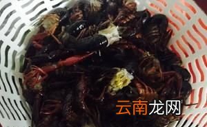 什么小龙虾调料好吃