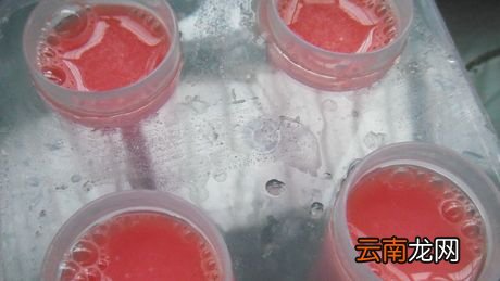 西瓜瓤放冰箱冷冻后还能吃吗?