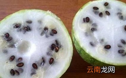 西瓜中间白色是怎么了