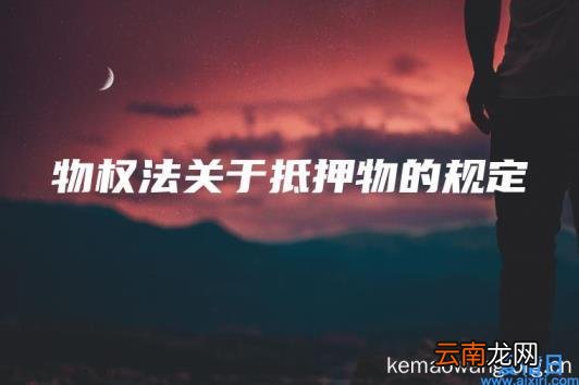物权法关于抵押物的规定