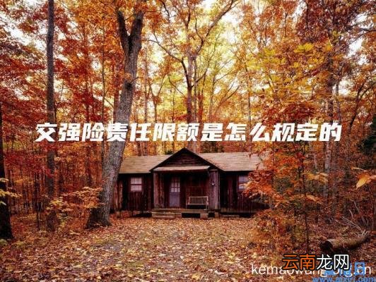 交强险责任限额是怎么规定的