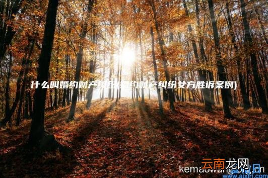 什么叫婚约财产纠纷 婚约财产纠纷女方胜诉案例