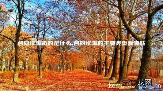 合同诈骗指的是什么,合同诈骗的主要类型有哪些