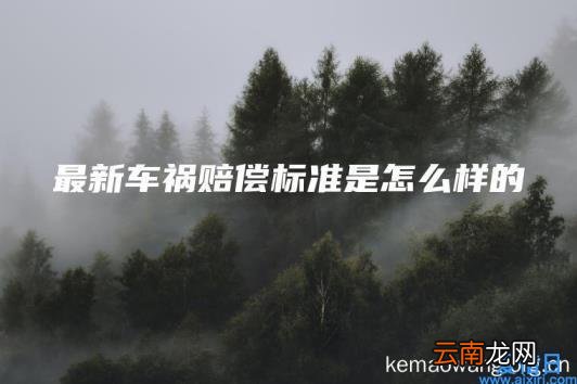最新车祸赔偿标准是怎么样的