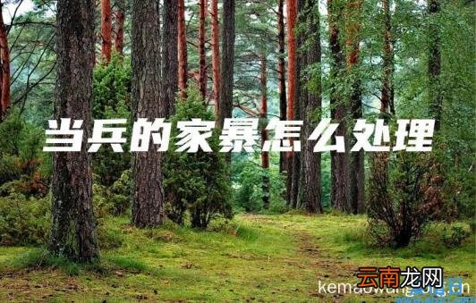 当兵的家暴怎么处理