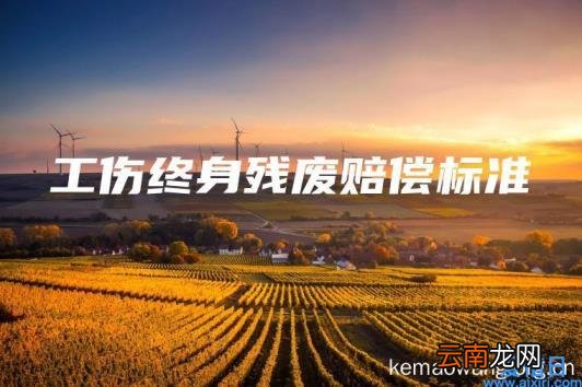 工伤终身残废赔偿标准