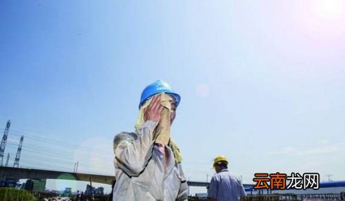三伏天一般是哪个时间的