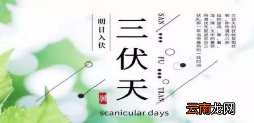 三伏天是哪天开始算起
