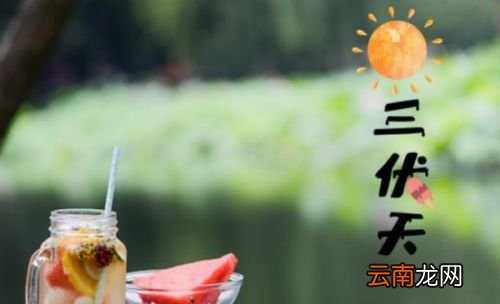三伏共有多少天