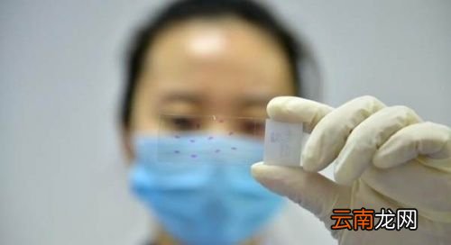 健康码变黄码必须要做核酸吗