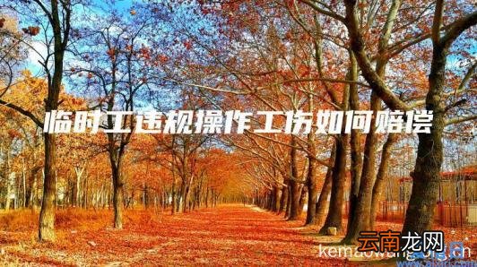 临时工违规操作工伤如何赔偿