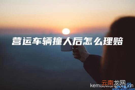 营运车辆撞人后怎么理赔