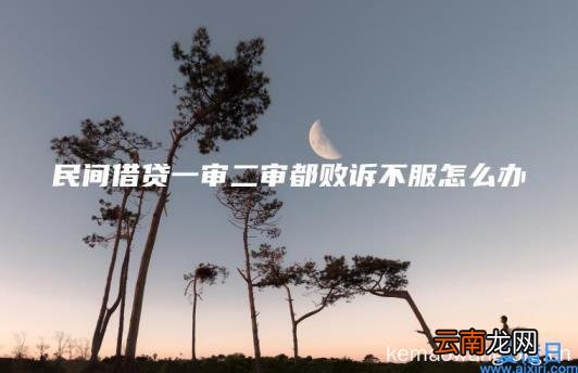 民间借贷一审二审都败诉不服怎么办