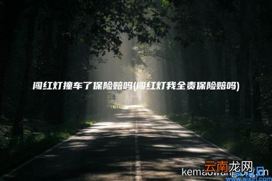 闯红灯撞车了保险赔吗 闯红灯我全责保险赔吗