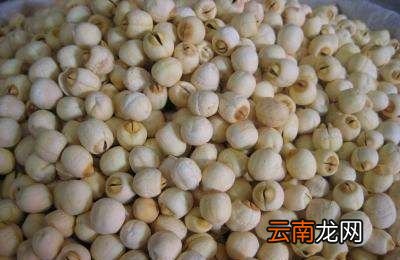 送特产送什么好