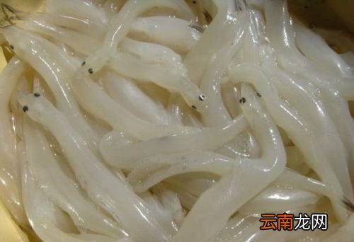 送特产送什么好
