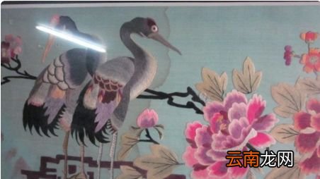 送特产送什么好