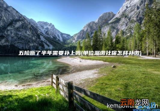 五险断了半年需要补上吗 单位漏缴社保怎样补缴