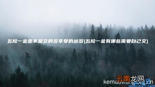 五险一金是不是交的多享受的越多 五险一金有哪些需要自己交