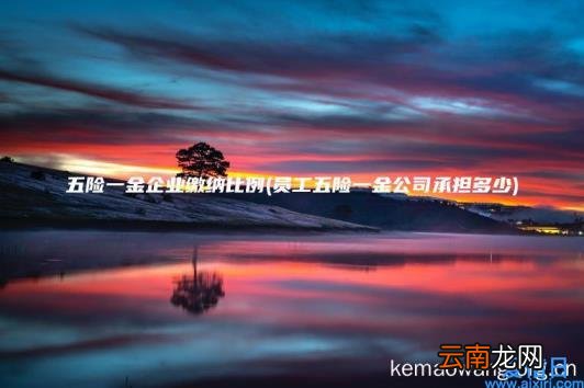 五险一金企业缴纳比例 员工五险一金公司承担多少