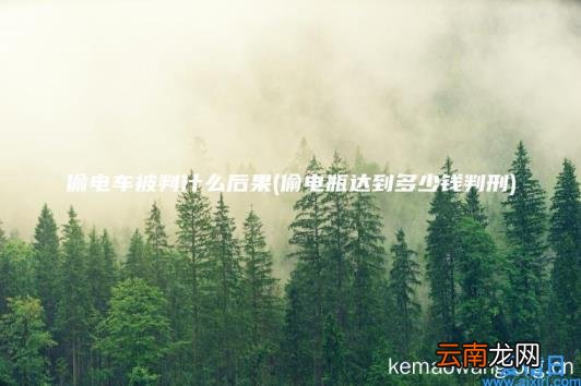偷电车被判什么后果 偷电瓶达到多少钱判刑