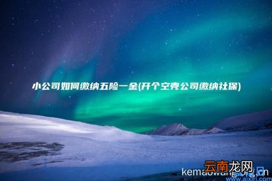 小公司如何缴纳五险一金 开个空壳公司缴纳社保