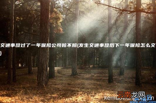 交通事故过了一年保险公司赔不赔 发生交通事故后下一年保险怎么交