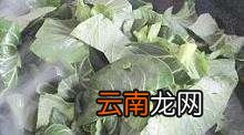 青菜一般怎么炒