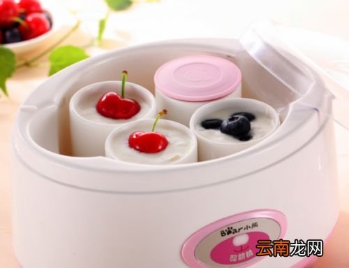 酸奶机和炒酸奶机一样吗?