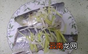 咸白鳞鱼怎样做