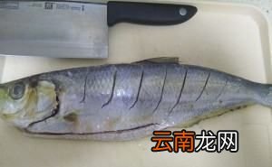 咸白鳞鱼怎样做