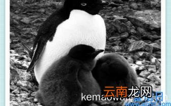 怎样推广自己的产品 产品怎样推广有效