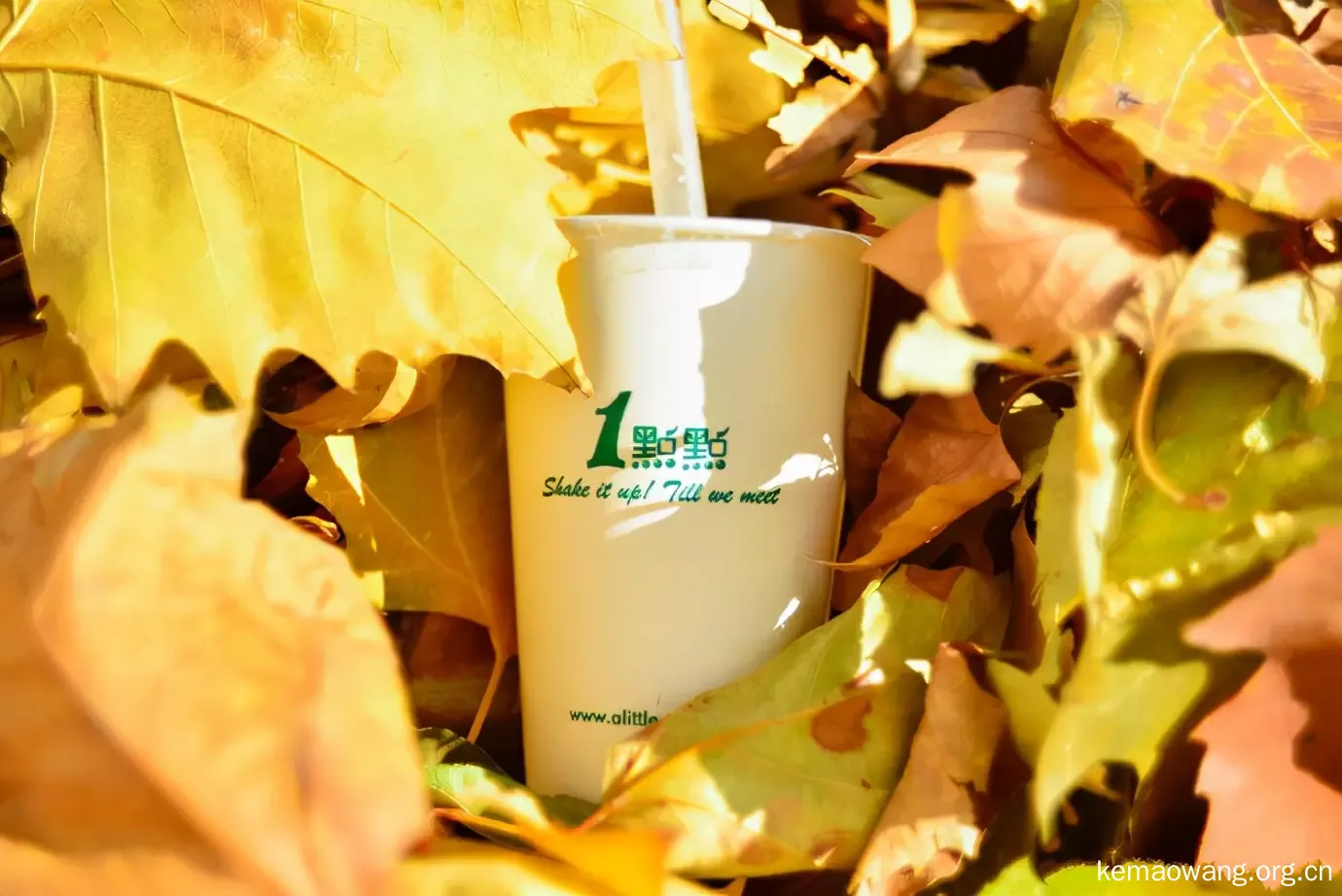 奶茶店真实收入从何而来 加盟一点点奶茶店加盟费多少钱