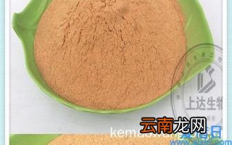 口碑最好的笔记本电脑 评价最好的笔记本电脑