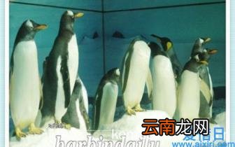 口碑最好的笔记本电脑 评价最好的笔记本电脑