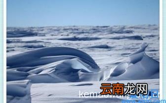 如何进行有效的市场营销活动 市场营销最有效的手段