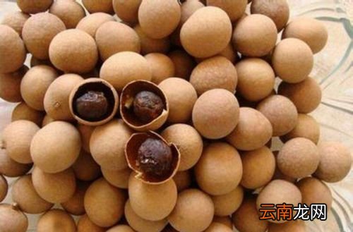 脾胃虚泡什么茶喝有效