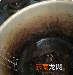 电压力锅如何焖红薯