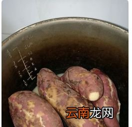 电压力锅如何焖红薯