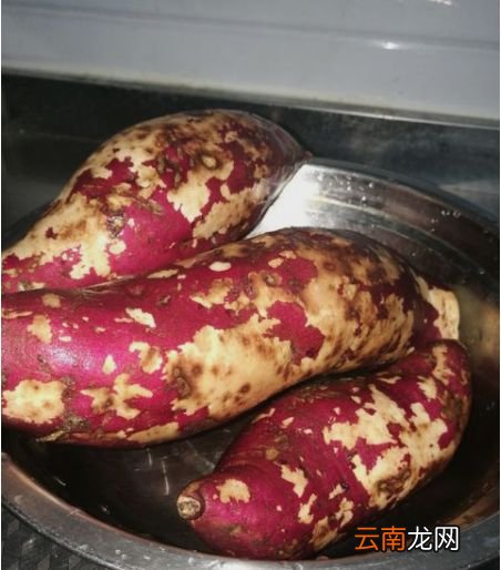 电压力锅如何焖红薯